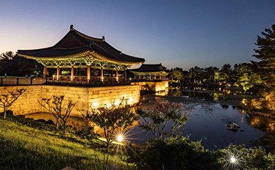 千年古都慶州浪漫夜