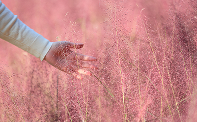 韓流文創綻放浪漫的季節， 有獨屬於秋天的別樣風景呢。
