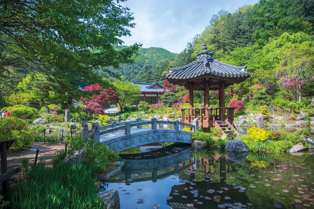 晨靜樹木園
