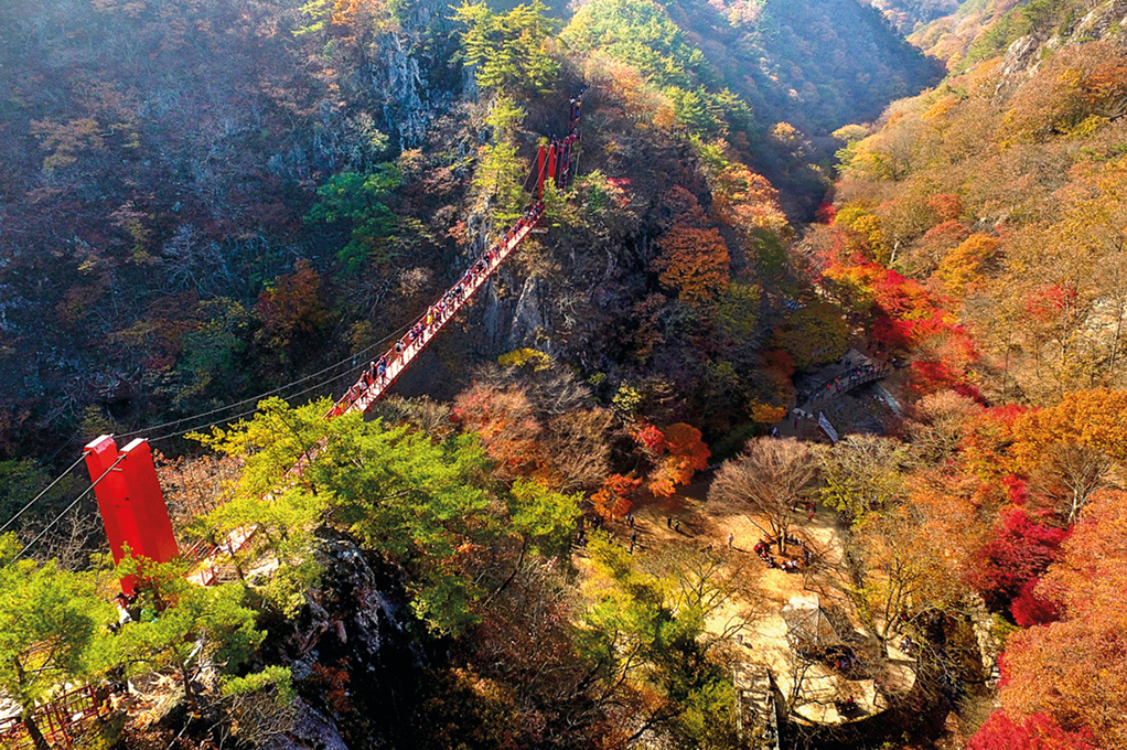 剛泉山郡立公園