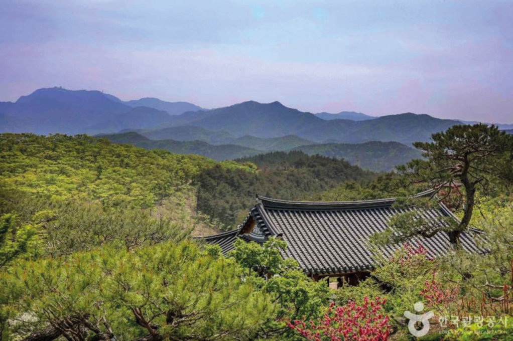 思維園
