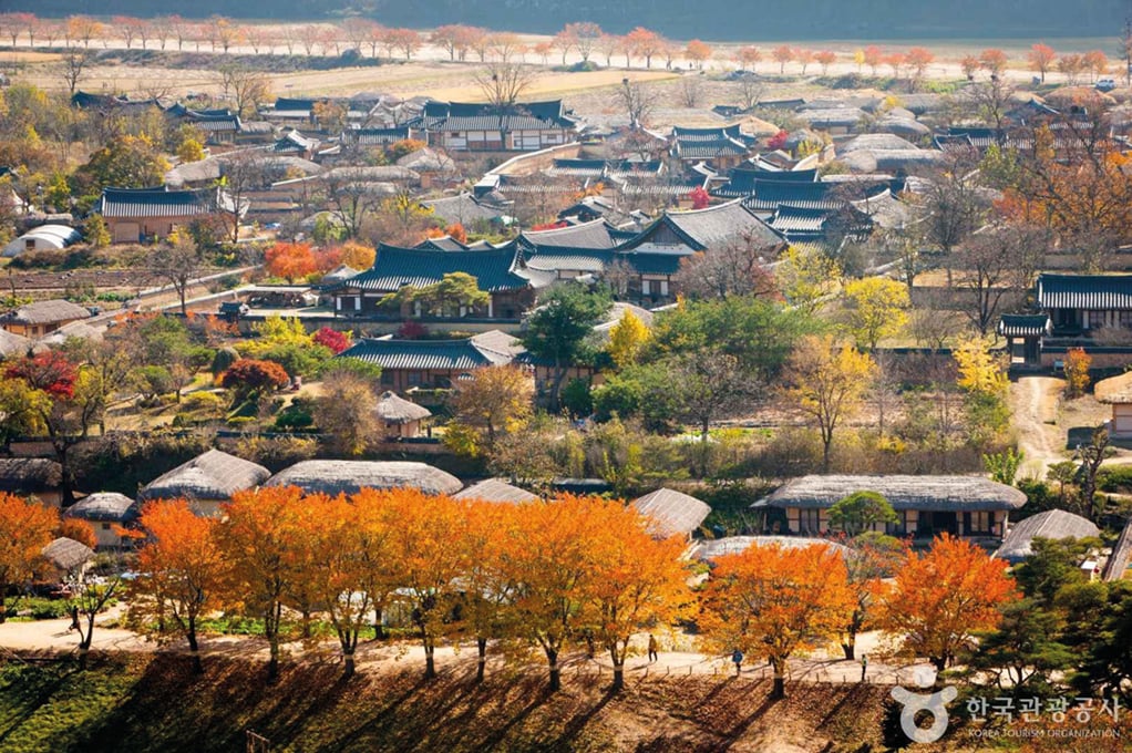 安東河回村