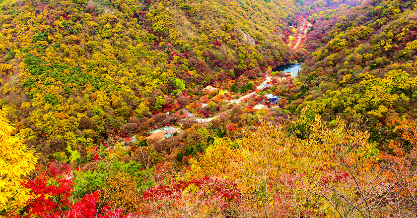 내장산국립공원
