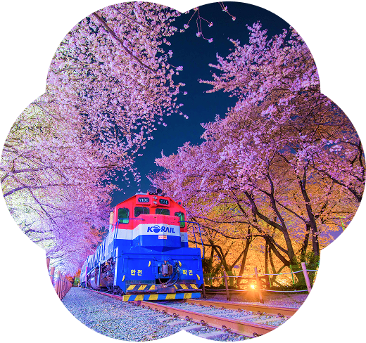 Jinhae Gunhangje Festival