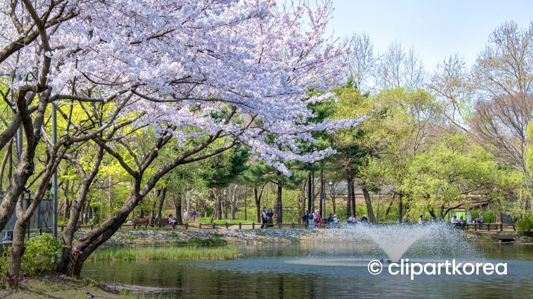 Seoul Forest