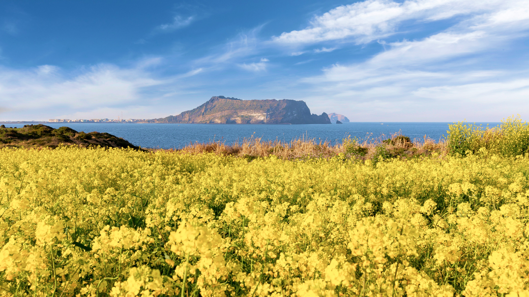 Seongsan Ilchulbong Tuff Cone [UNESCO World Heritage]