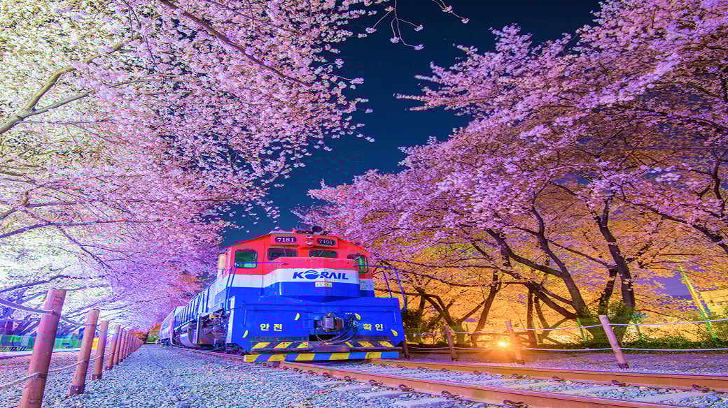 Jinhae Gunhangje Festival