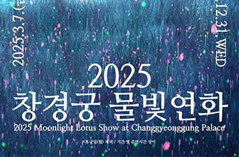 2025昌慶宮水光年華，光之藝術渲染神祕古宮
