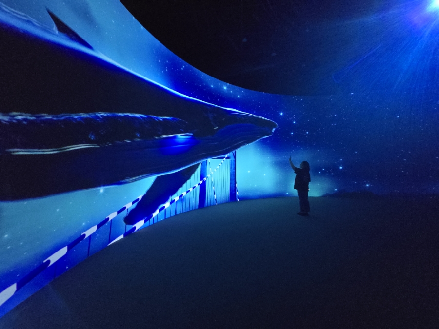 蔚山 - What a Ulsan