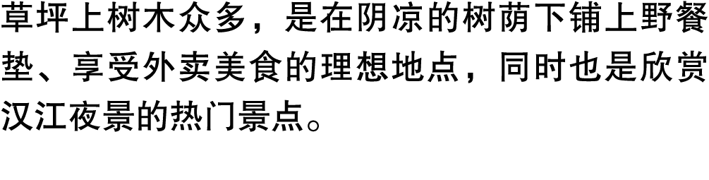 草坪上树木众多，是在阴凉的树荫下铺上野餐垫、享受外卖美食的理想地点，同时也是欣赏汉江夜景的热门景点。