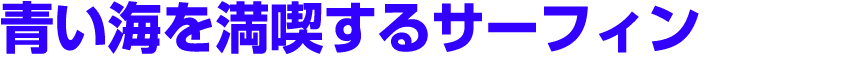 青い海を満喫するサーフィン