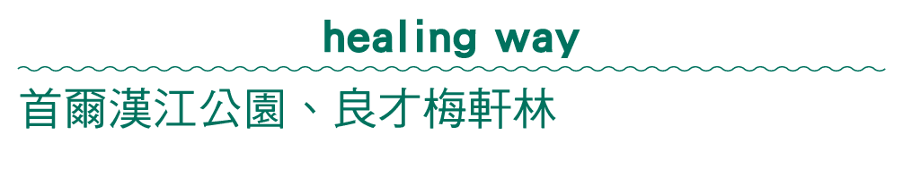 healing way 首爾漢江公園、良才梅軒林 