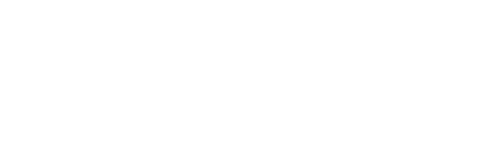 Environmentally Conscious Vegan Brunch