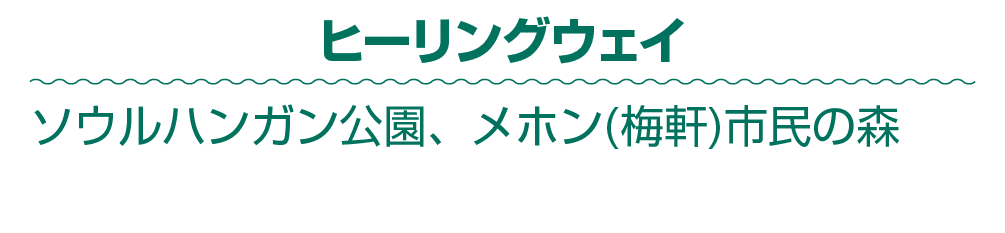 ヒーリングウェイ ソウルハンガン公園、メホン(梅軒)市民の森