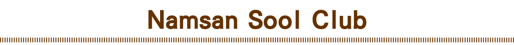Namsan Sool Club