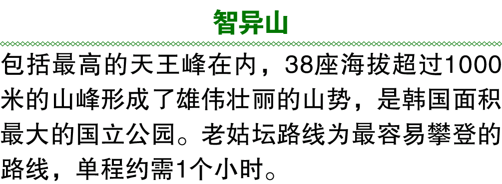 智异山 包括最高的天王峰在内，38座海拔超过1000米的山峰形成了雄伟壮丽的山势，是韩国面积最大的国立公园。老姑坛路线为最容易攀登的路线，单程约需1个小时。