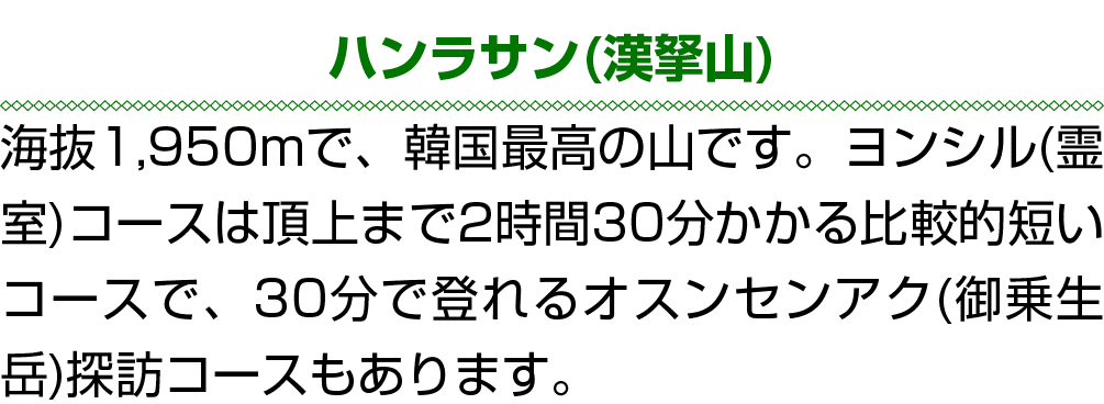 ハンラサン(漢拏山) 海抜1,950mで、韓国最高の山です。ヨンシル(霊室)コースは頂上まで2時間30分かかる比較的短いコースで、30分で登れるオスンセンアク(御乗生岳)探訪コースもあります。 